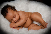 Sage Drux Williams (11 weeks old)