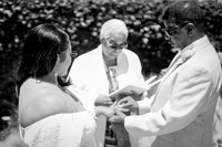 IMG_8973